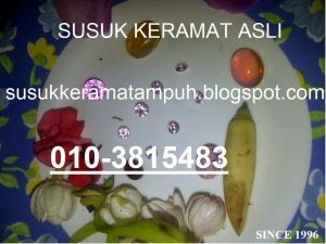 susuk pengasih asli